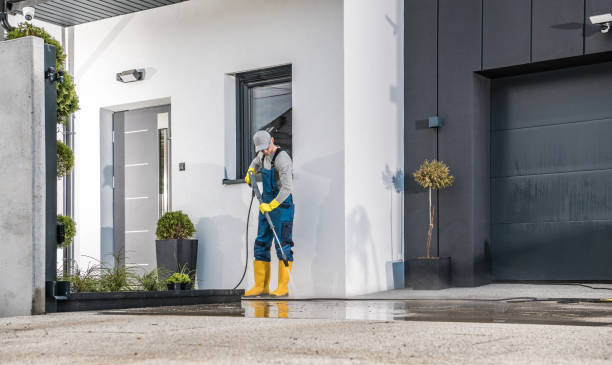 Best Animal Enclosure Cleaning  in Lacoste, TX